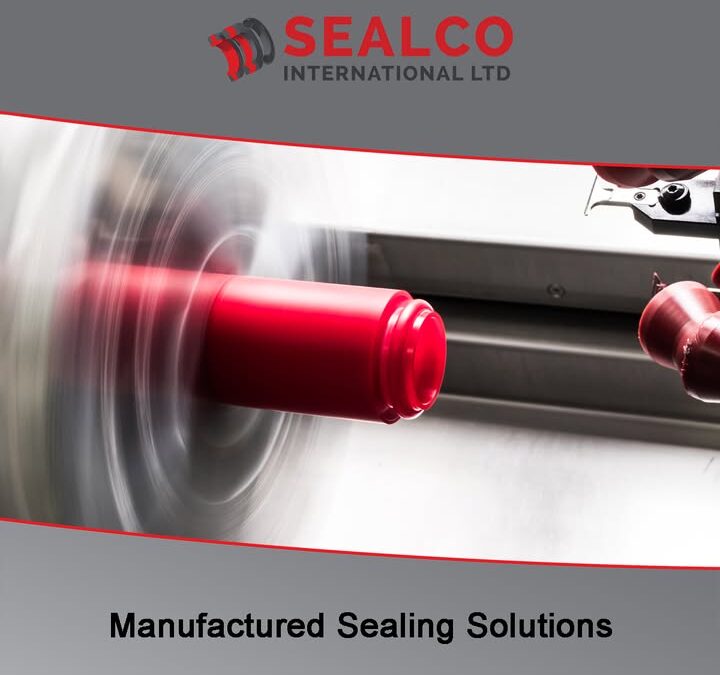 The right seal for your application is not always off the shelf.
