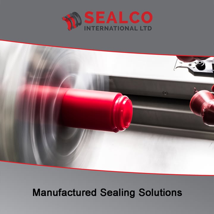 The right seal for your application is not always off the shelf.